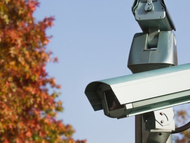 Outdoor security cameras mounted on a pole among trees